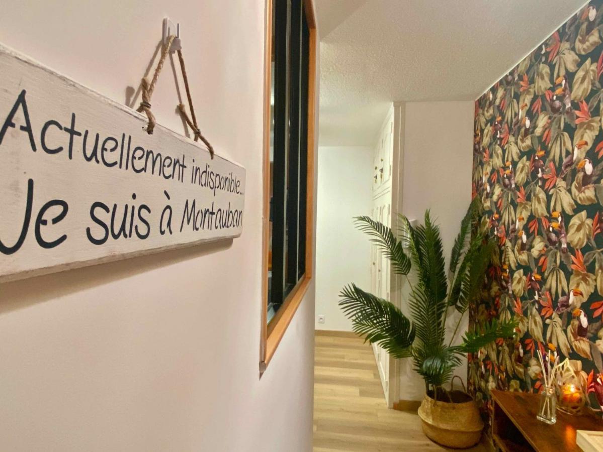 Apartament Le Point Virgule - Parking Prive - Climatisation Montauban Zewnętrze zdjęcie